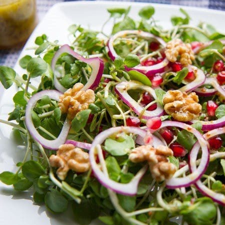 Watercress, red onion, and pomegranate salad.